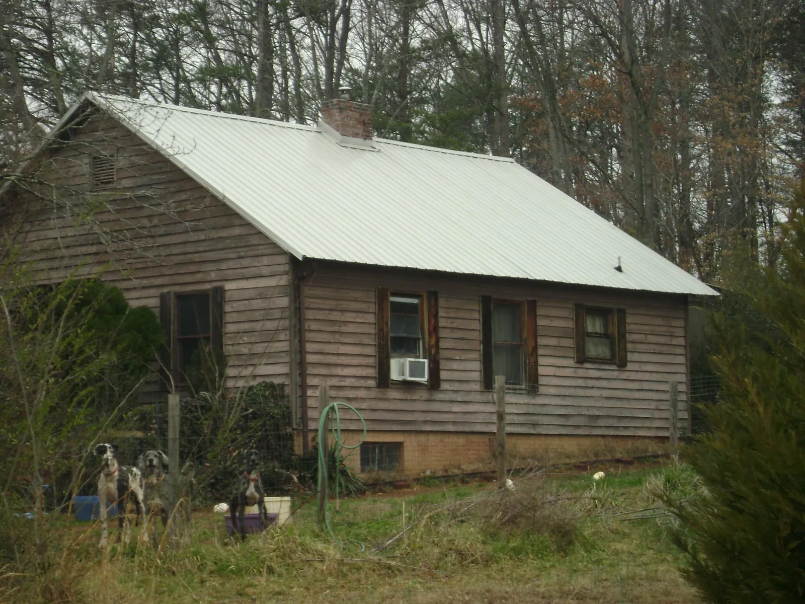 White metal roof on an old wood sided farmhouse, from a Asphalt Shingle Roof Repair job in San Leandro